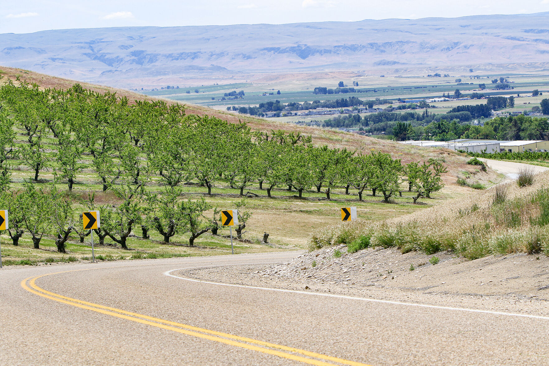 Canyon County Farmland